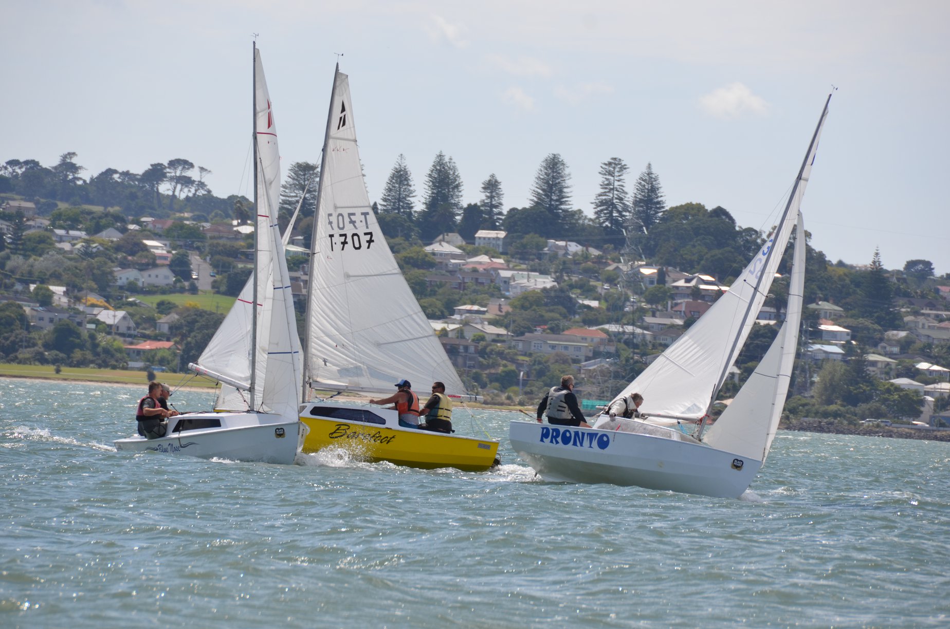 2019 Waiuku Hartley 16 Regatta